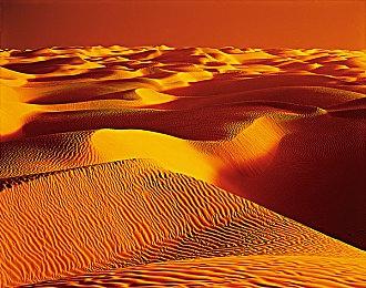 森林之子滑翔翼在哪获得？森林之子滑翔机位置图大全